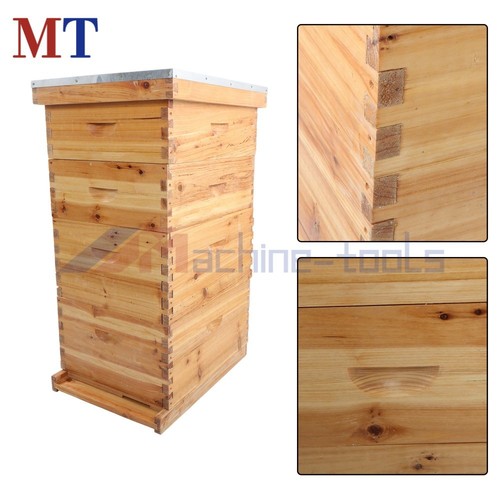 Complete beehive box - beehive, 8