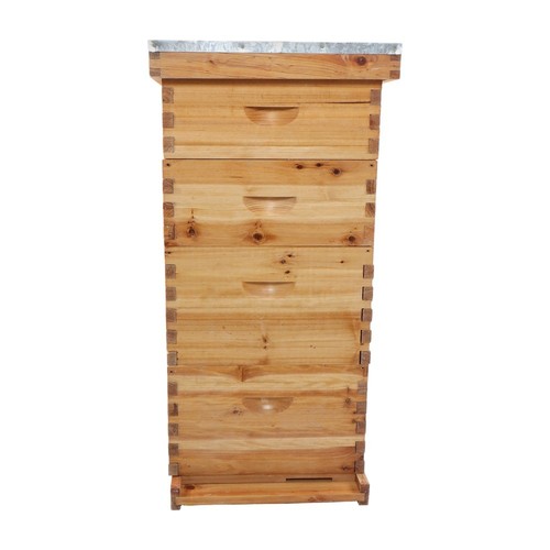 Layer frame bee - layer,