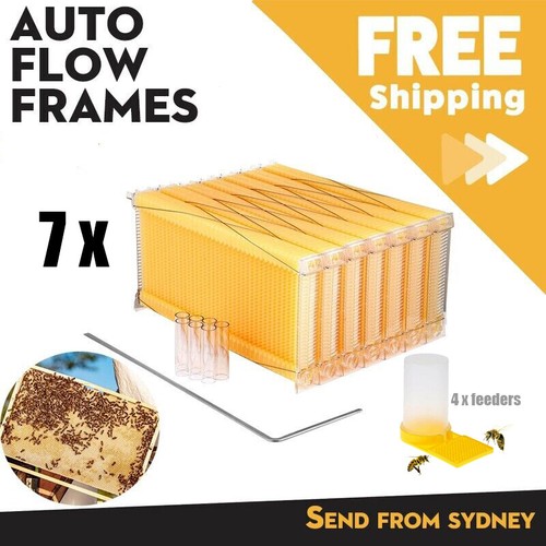 Beekeeping frames bee hive - bee,