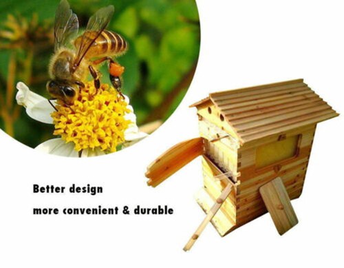 Auto oozing honey - 7,
