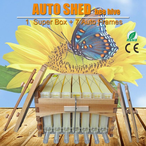 Auto bee hives super - auto,