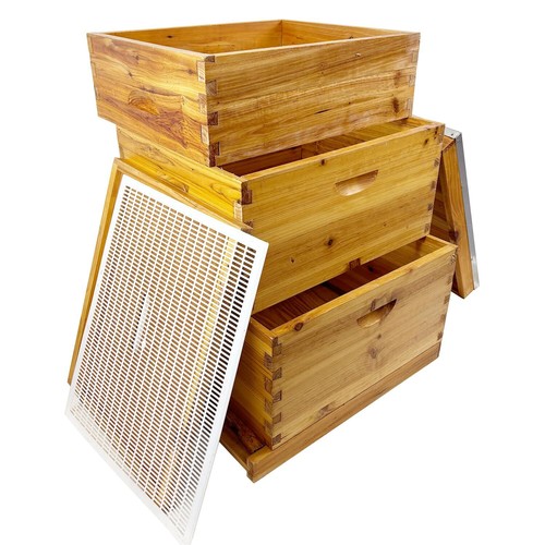 Layers beehive complete - beehive, box