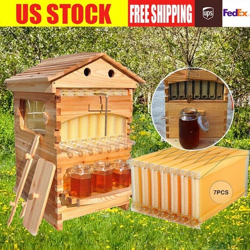 Upgraded auto reap honey - upgraded,