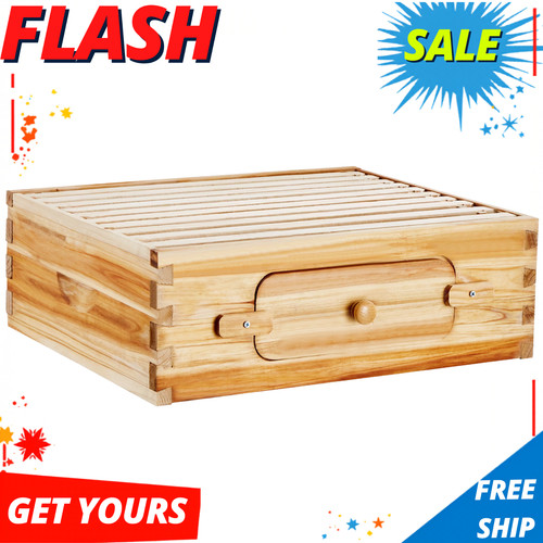 Bee hive medium - hive, starter
