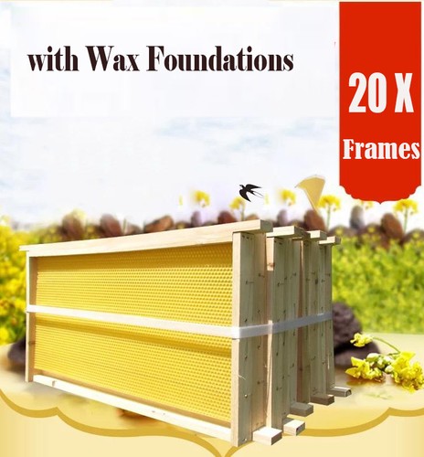 20pcs beehive foundation - beehive,