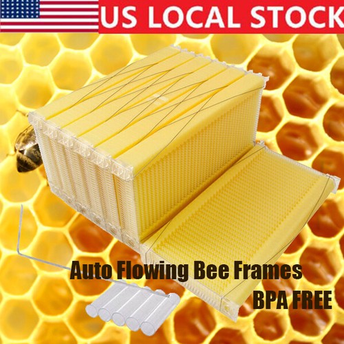 Auto bee hive frames - 7,