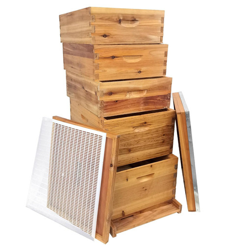 Premium layer langstroth bee - 5-layer,