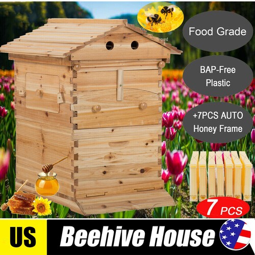 Auto beehive frames bee - beehive,