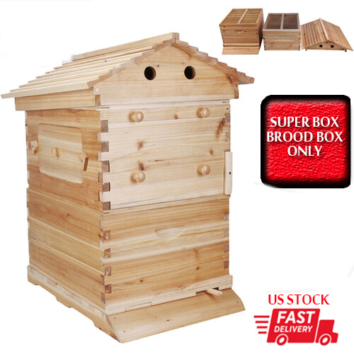 Wooden auto bee - wooden,