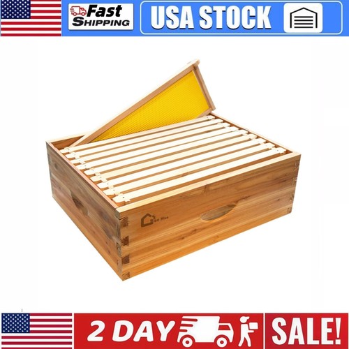 Bee hive coated with beeswax - bee,