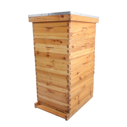Beeswax coated layer 10 - beeswax,