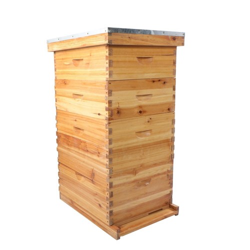 Layer frame bee - layer,