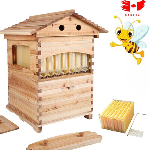 Wooden auto seep bee hives - wooden,