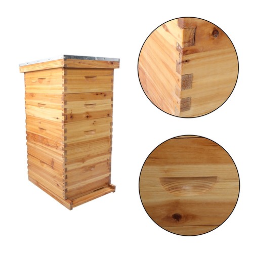 Layer complete beehive box - beehive,