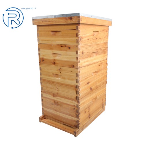 Beeswax coated layer 10 - beeswax,