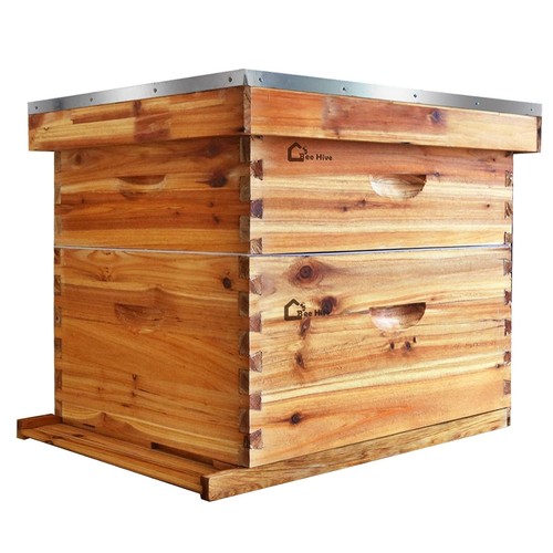 Frame medium super - 10, hive
