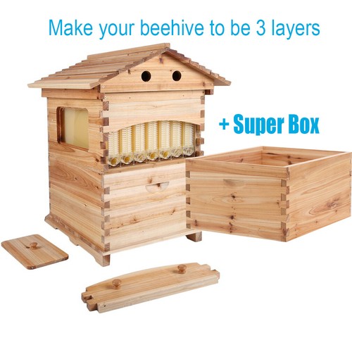 Auto beehives cedarwood - auto,