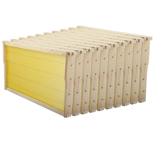Bee hive frames - 10,