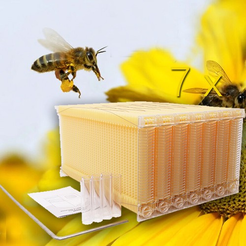 Auto bee hive frames - bee,