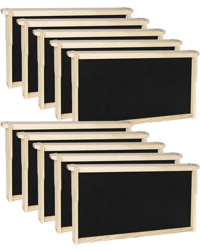 Vensovo pack bee - bee, frames