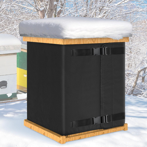 Winter bee hive - bee,