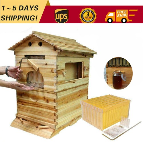 Cedar wood auto bee hive - wood,