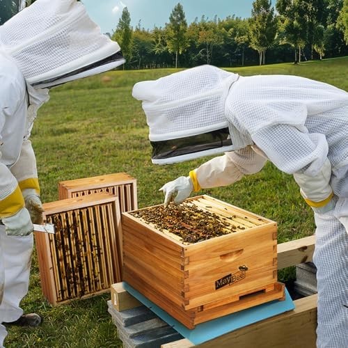 Frame beehive starter kit - beehive,