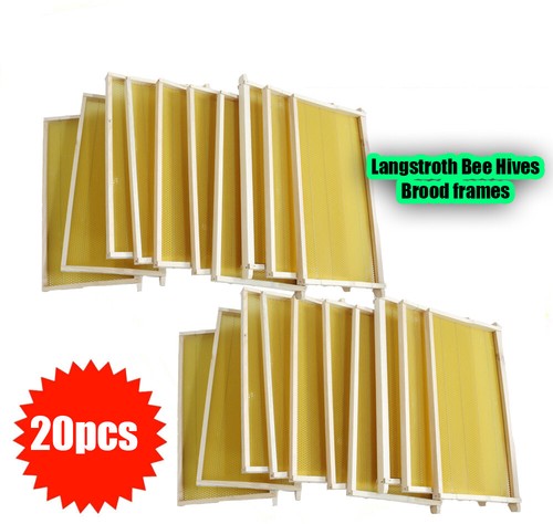 Langstroth beehive frames - beehive,