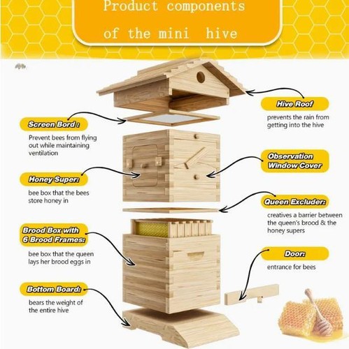 Mini 10x upgraded auto honey - 10x,