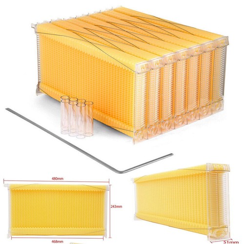 Auto bee frames - 7x,