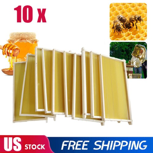 Bee hive frames - 10, x
