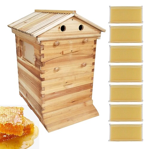 Auto honey house hive beehive - auto,
