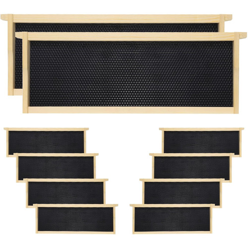 Pack black bee - black, medium