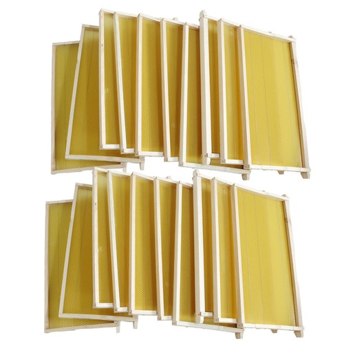 Assembled bee foundation - 20,