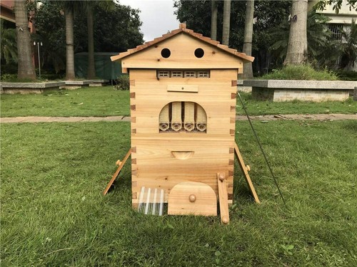 Upgrade auto honey hive - auto,