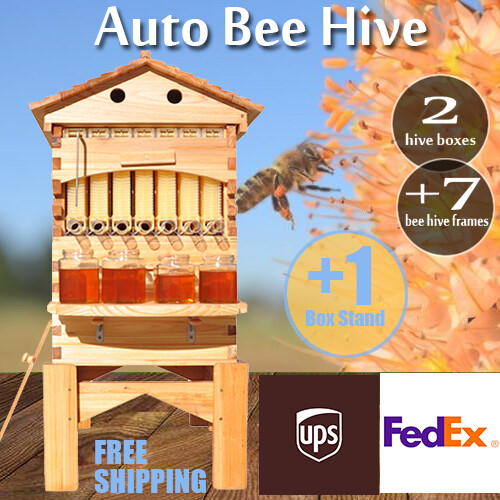 Beewaxed 1 automatic - 1,
