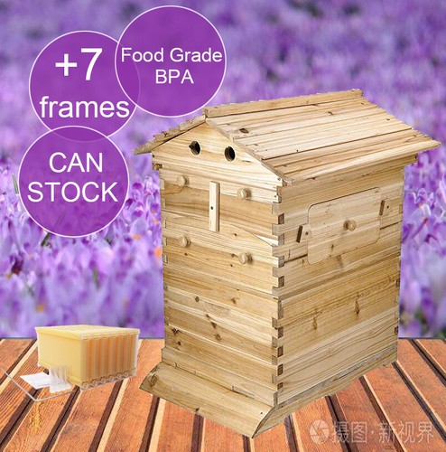 Auto honey hive beehive - auto,